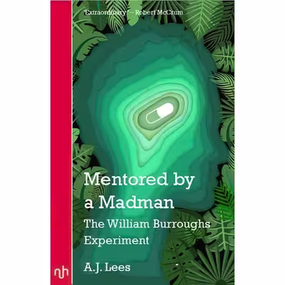 کتاب Mentored by a Madman اثر Andrew Lees انتشارات Notting Hill Editions