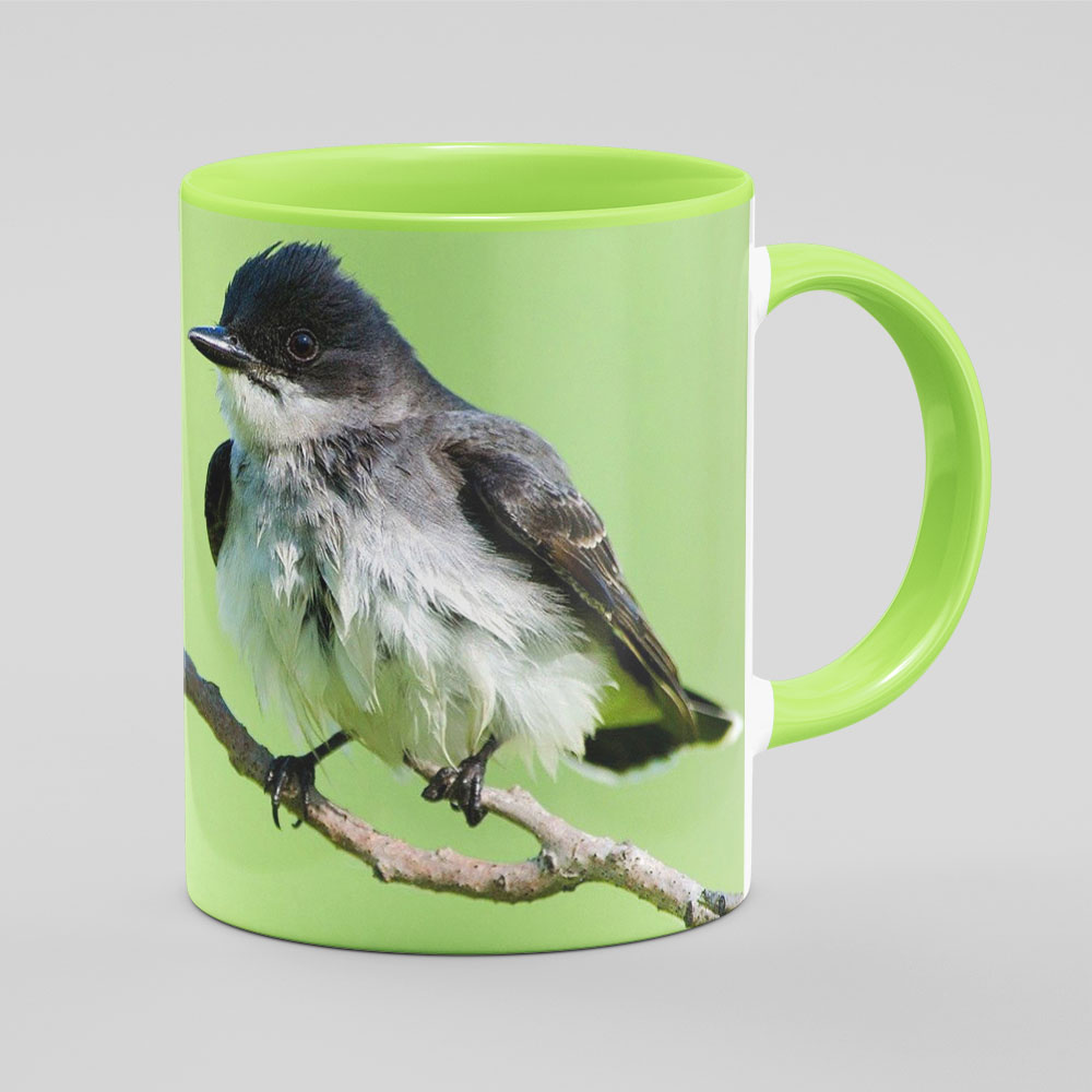 ماگ ماگ‌ پلاس مدل پرنده