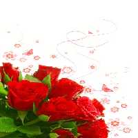 خرید و دانلود عکس Flower-Part-3 کد 17792 | پیک فاکس | Pic Fox