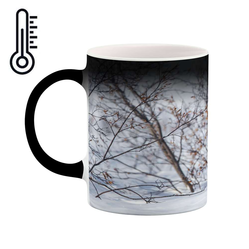 ماگ حرارتی کاکتی طرح خرس مدل mgh14337