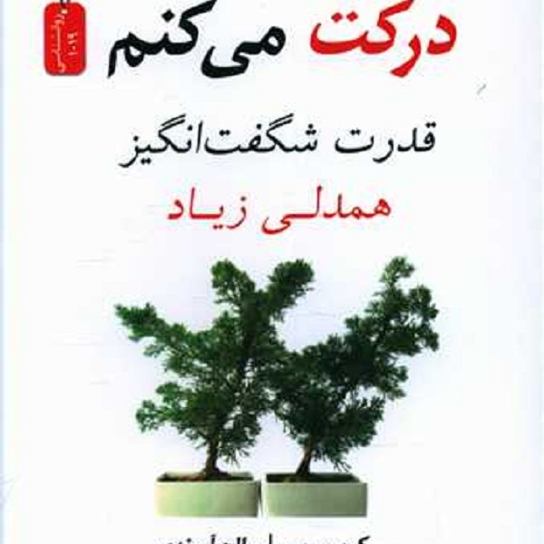 درکت میکنم