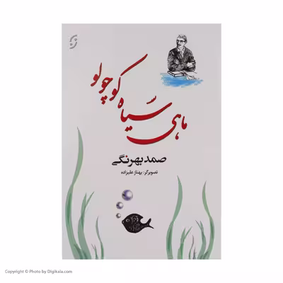کتاب ماهی سیاه کوچولو اثر صمد بهرنگی