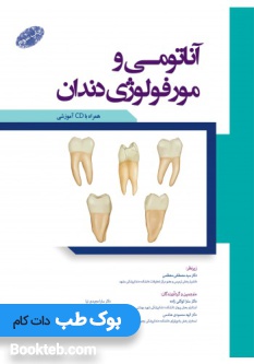 آناتومی و مورفولوژی دندان