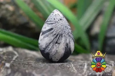 کرایسان تیموم ( سنگ گل داودی)