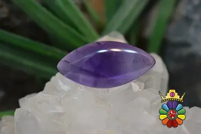 امتیست دامله(کاپوشی)