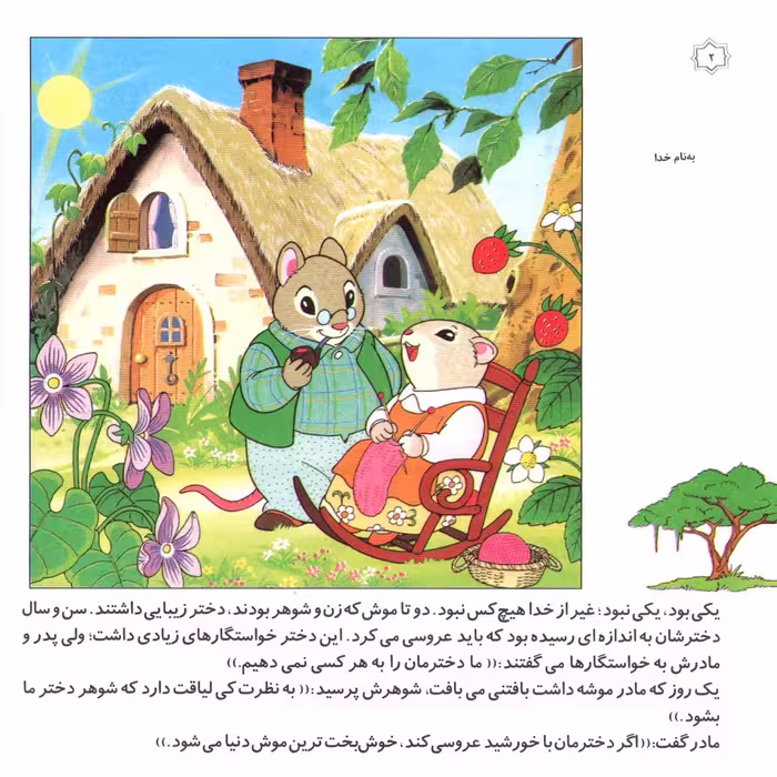 کتاب قصه های کلاسیک ۱۴ عروسی خانم موشه اثر شاگا هیراتا انتشارات برف