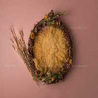 بک دراپ عکاسی کودک با گل خشک شده | گرافیک با طعم تربچه