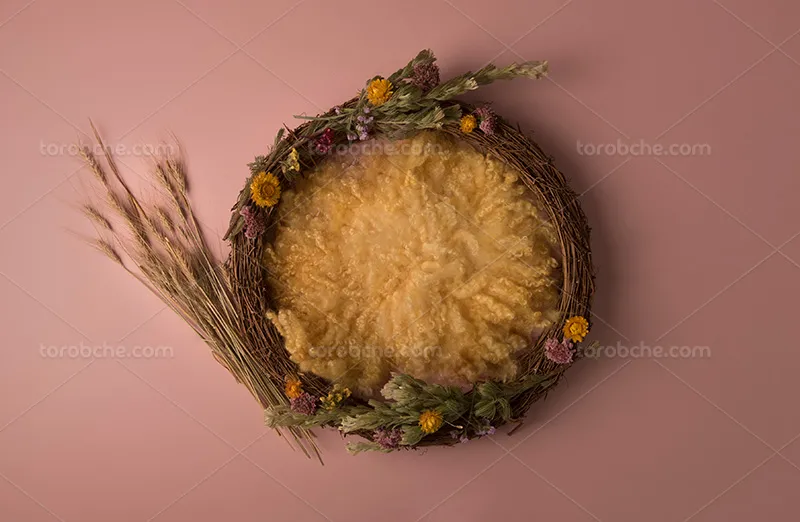 بک دراپ عکاسی کودک با گل خشک شده | گرافیک با طعم تربچه