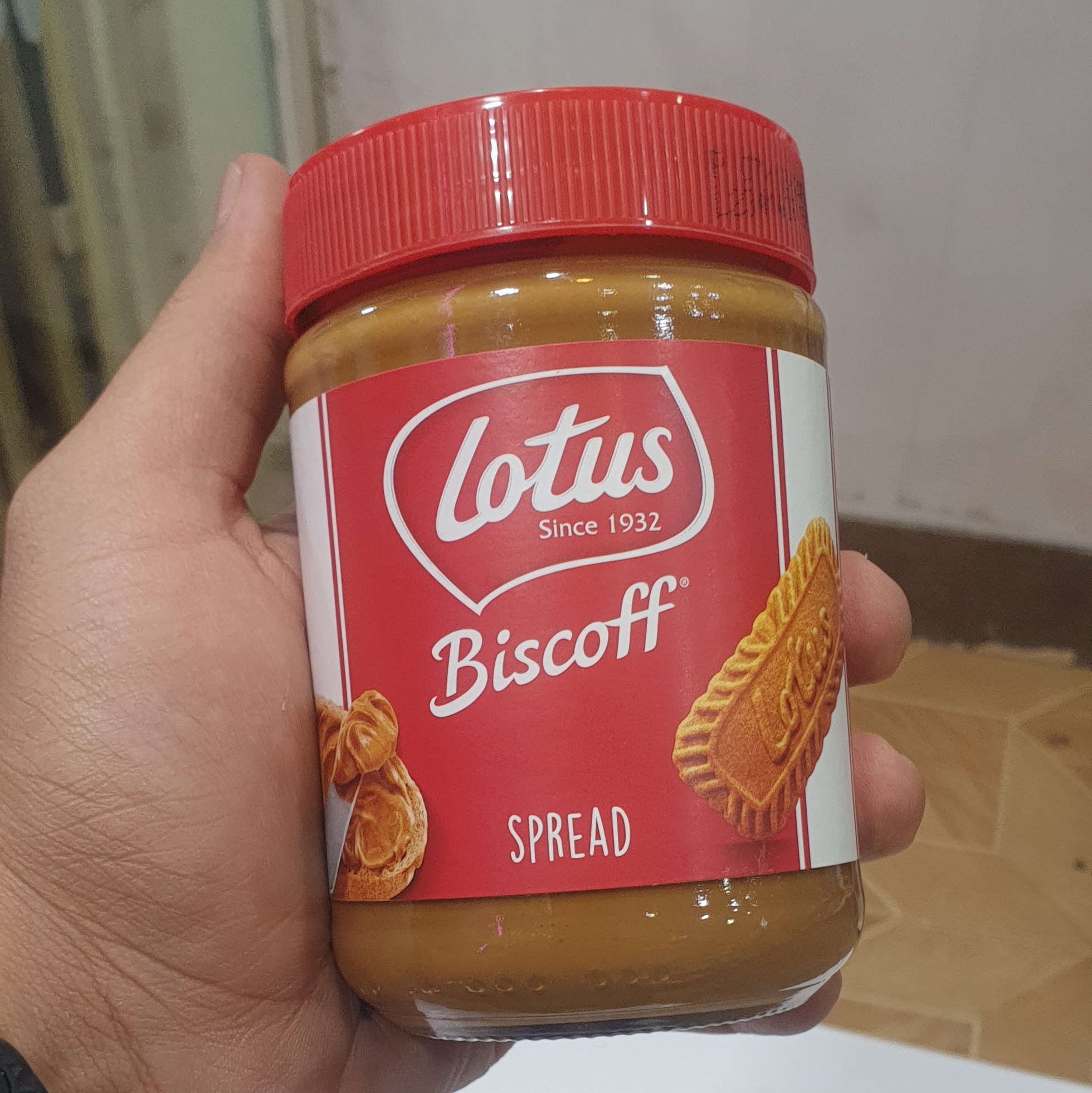 کرم بیسکوییت