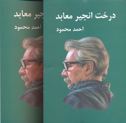 درخت انجير معابد(2جلدی)
