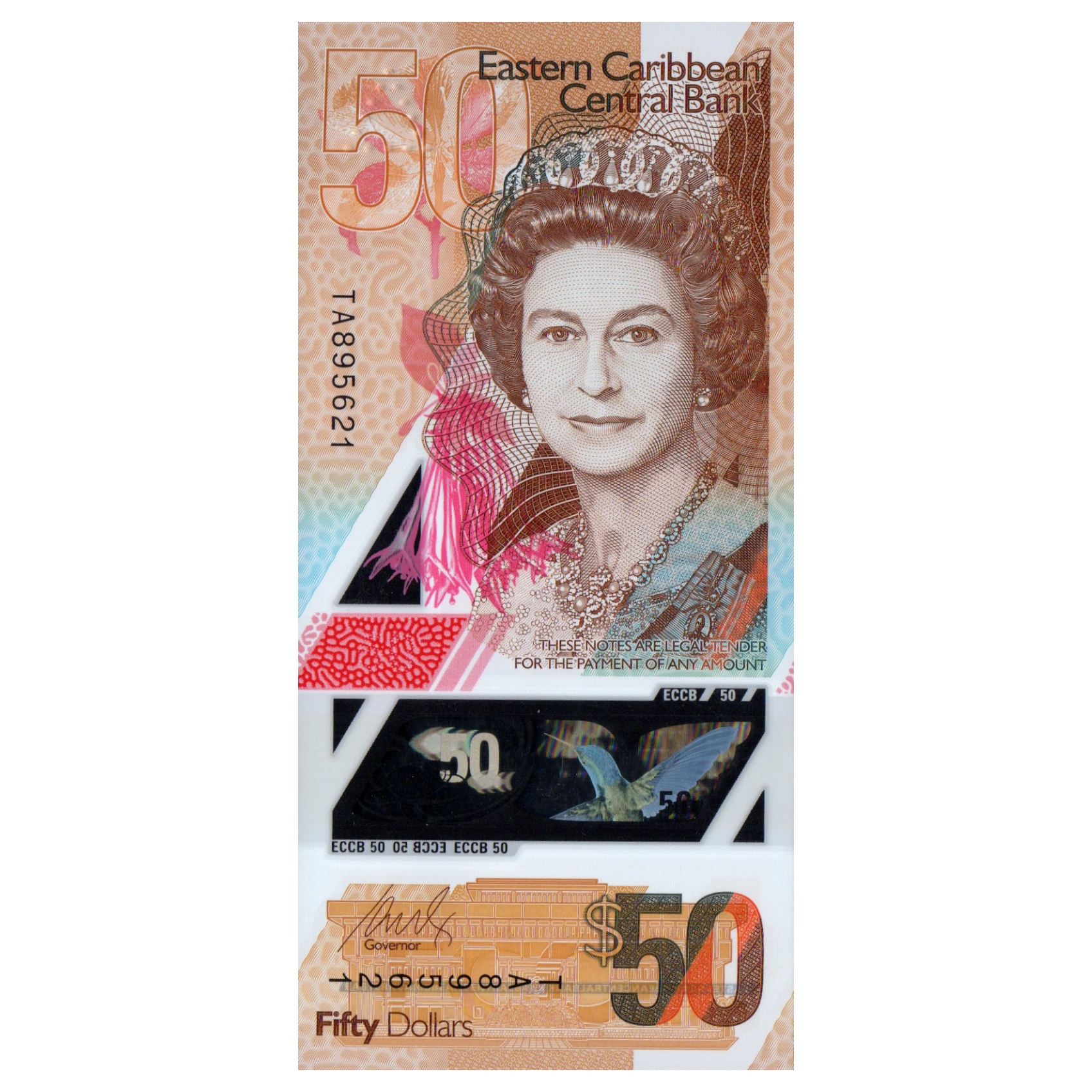 اسکناس تزئینی طرح جزایر کارائیب مدل 50 دلار پلیمری