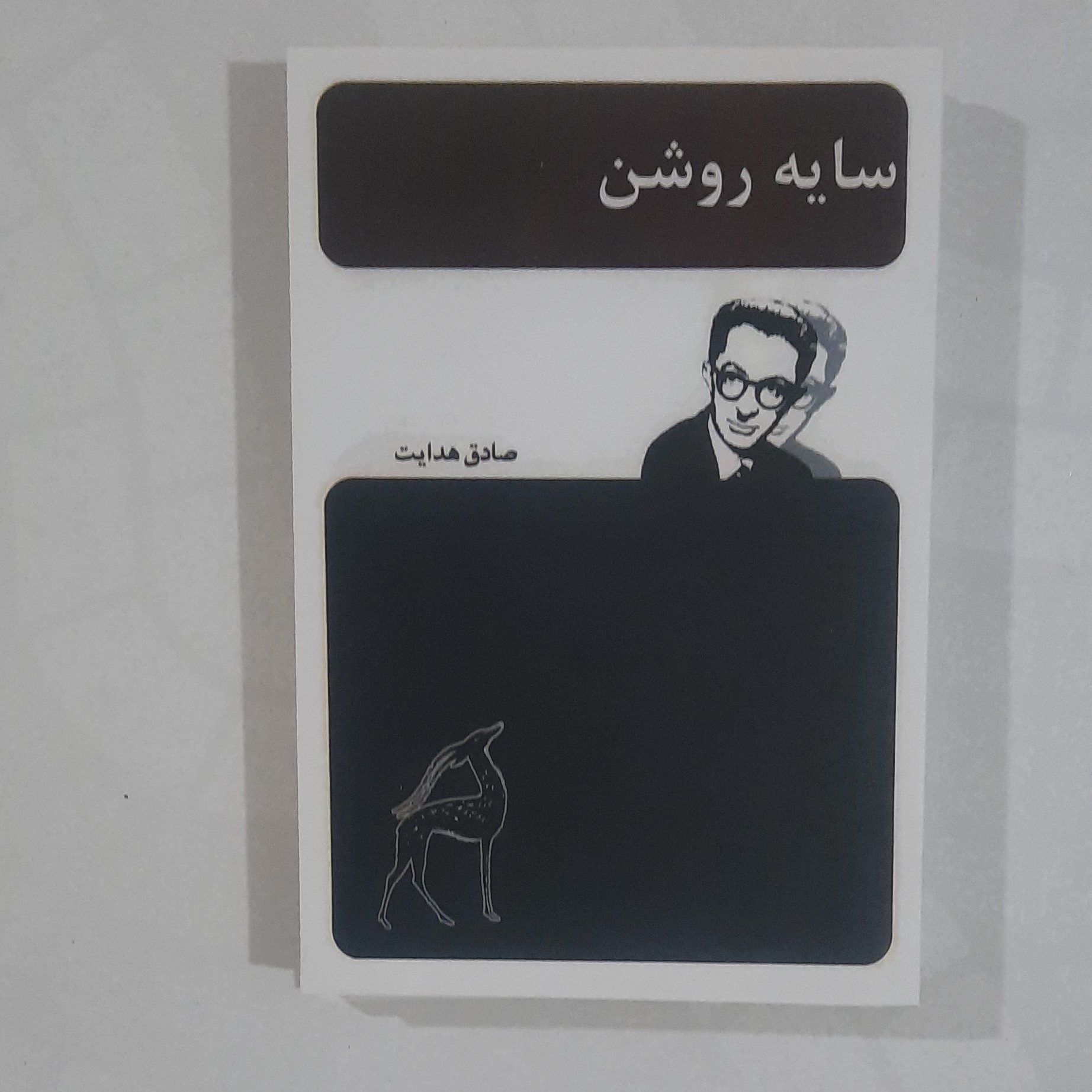 کتاب سایه روشن نویسنده صادق هدایت  اثر صادق هدایت