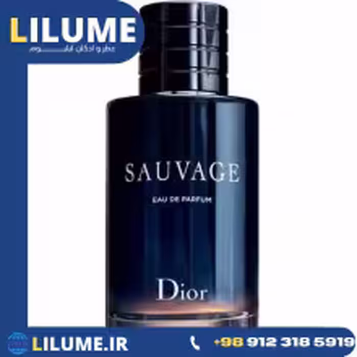 عطر ادکلن دیور ساوج ادو پرفیوم 200 میل مردانه