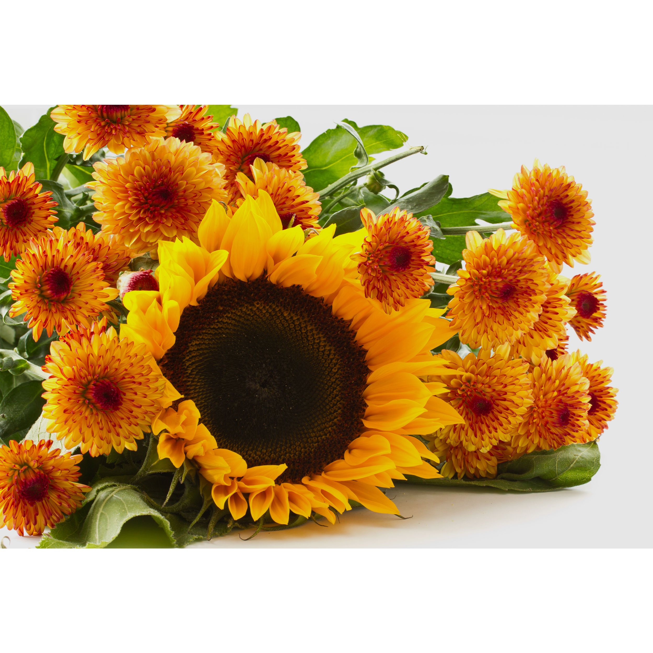 تابلو شاسی طرح گل آفتاب گردان مدل T6788