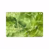 برچسب پوششی ماهوت مدل Green Crystal Marble مناسب برای تبلت اچ تی سی Nexus 9 2014