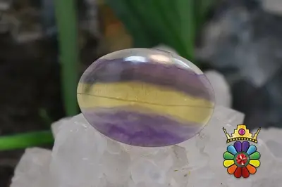 فلوریت رنگین کمانی