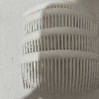 شانه سفید (فروش تکی)