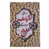 کتاب ابنبات هل دار اثر مهرداد صدقی انتشارات سوره مهر