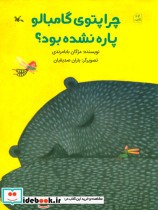 قیمت و خرید کتاب چرا پتوی گامبالو پاره نشده بود؟ | ایده بوک