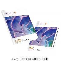 کتاب کار ریاضی یازدهم واله