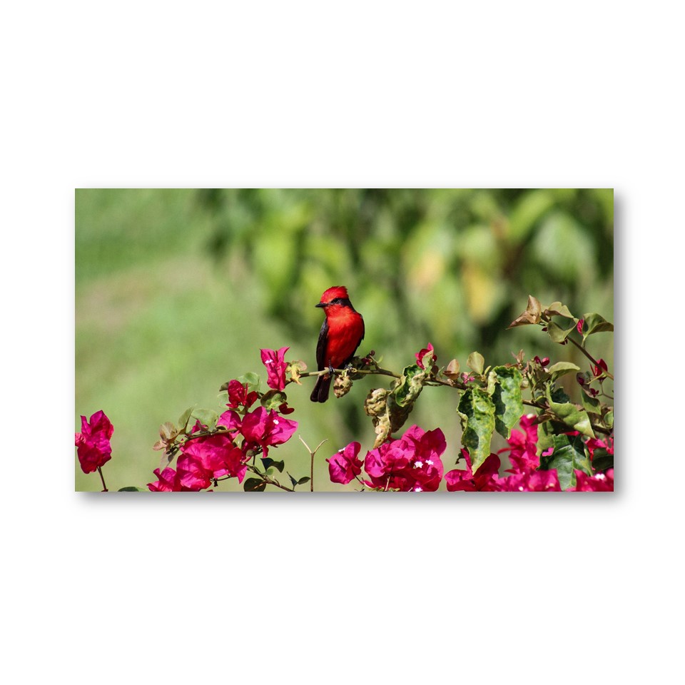 تابلو شاسی مدل پرنده کد 2