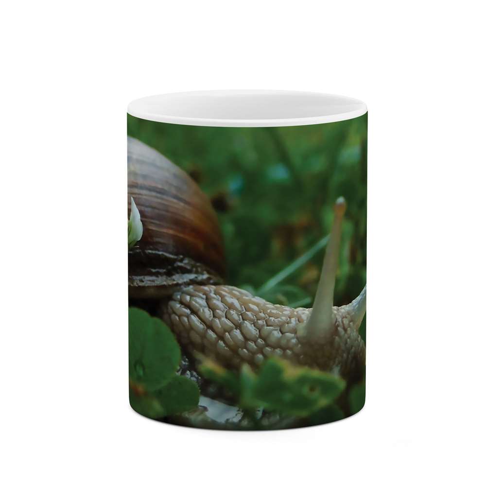 ماگ طرح حلزون مدل mgs07720