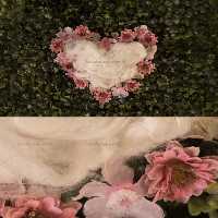 بک دراپ عکاسی نوزاد قلبی | گرافیک با طعم تربچه