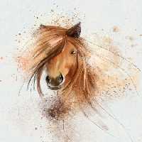 خرید و دانلود عکس نقش خیال، اسبی با موهای بلند در نقاشی آبرنگ | پیک فاکس | Pic Fox