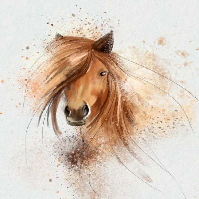 خرید و دانلود عکس نقش خیال، اسبی با موهای بلند در نقاشی آبرنگ | پیک فاکس | Pic Fox