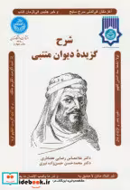 قیمت و خرید کتاب شرح گزیده دیوان متنبی | ایده بوک
