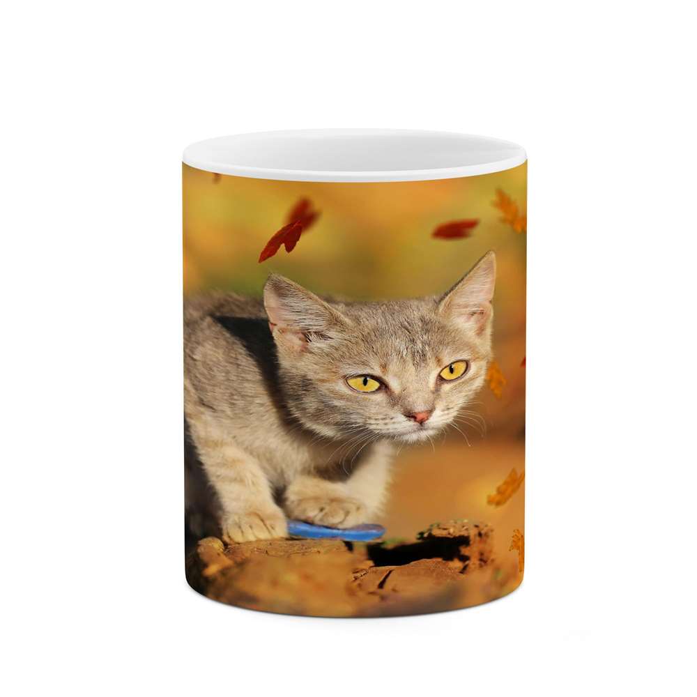 ماگ کاکتی طرح گربه مدل mgs14535