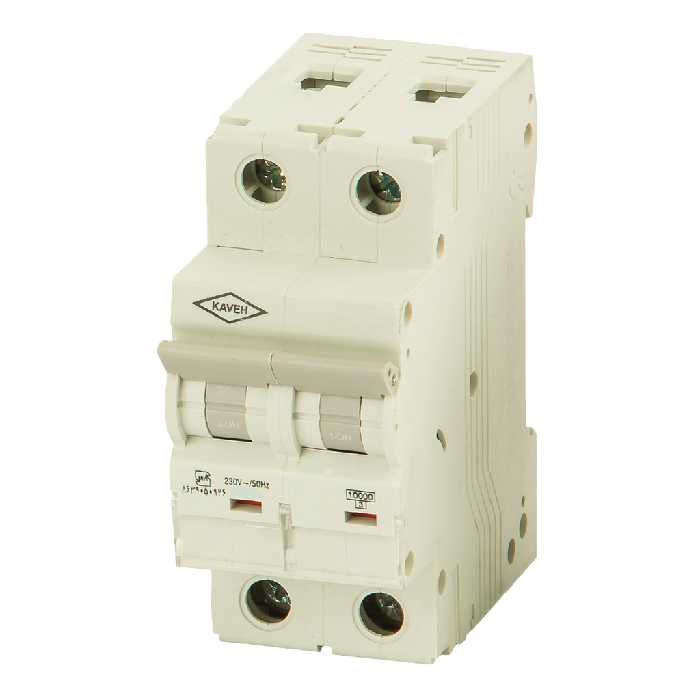 کلید مینیاتوری 6 آمپر دو پل DC الکترو کاوه کد EPI06006 DP-DC