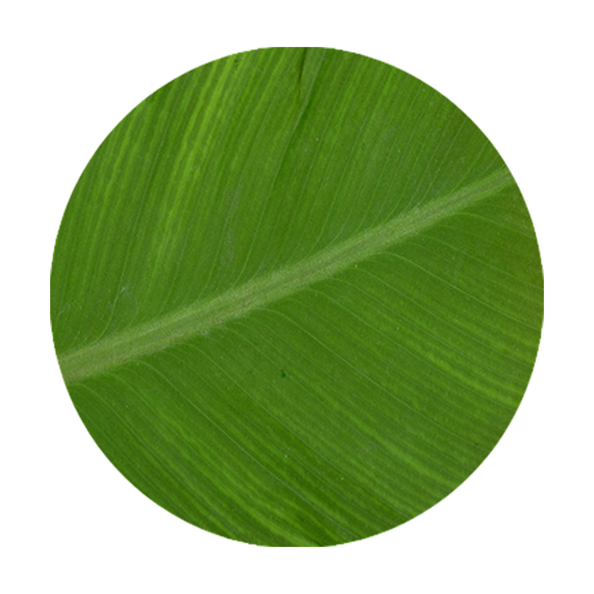 زیرقابلمه ای طرح برگ کد 8003 