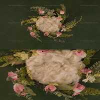 بک دراپ عکاسی نوزاد با گل رز | گرافیک با طعم تربچه