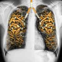 خرید و دانلود عکس Cigarettes کد 12445 | پیک فاکس | Pic Fox