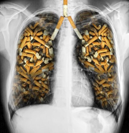 خرید و دانلود عکس Cigarettes کد 12445 | پیک فاکس | Pic Fox