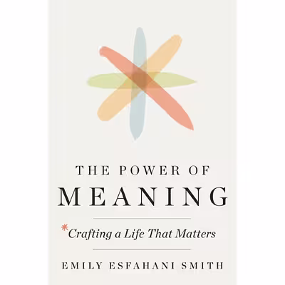 کتاب The Power of Meaning اثر Emily Esfahani Smith انتشارات Crown