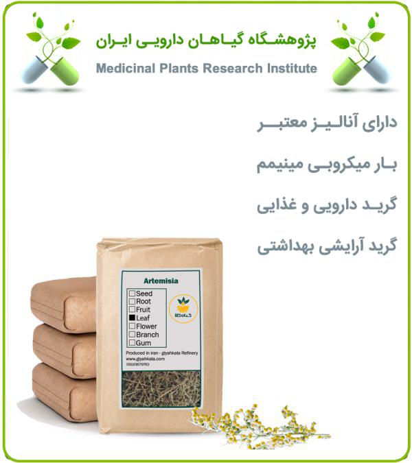 گیاه درمنه خشک فله