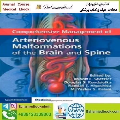 Comprehensive Management of Arteriovenous Malformations of the
