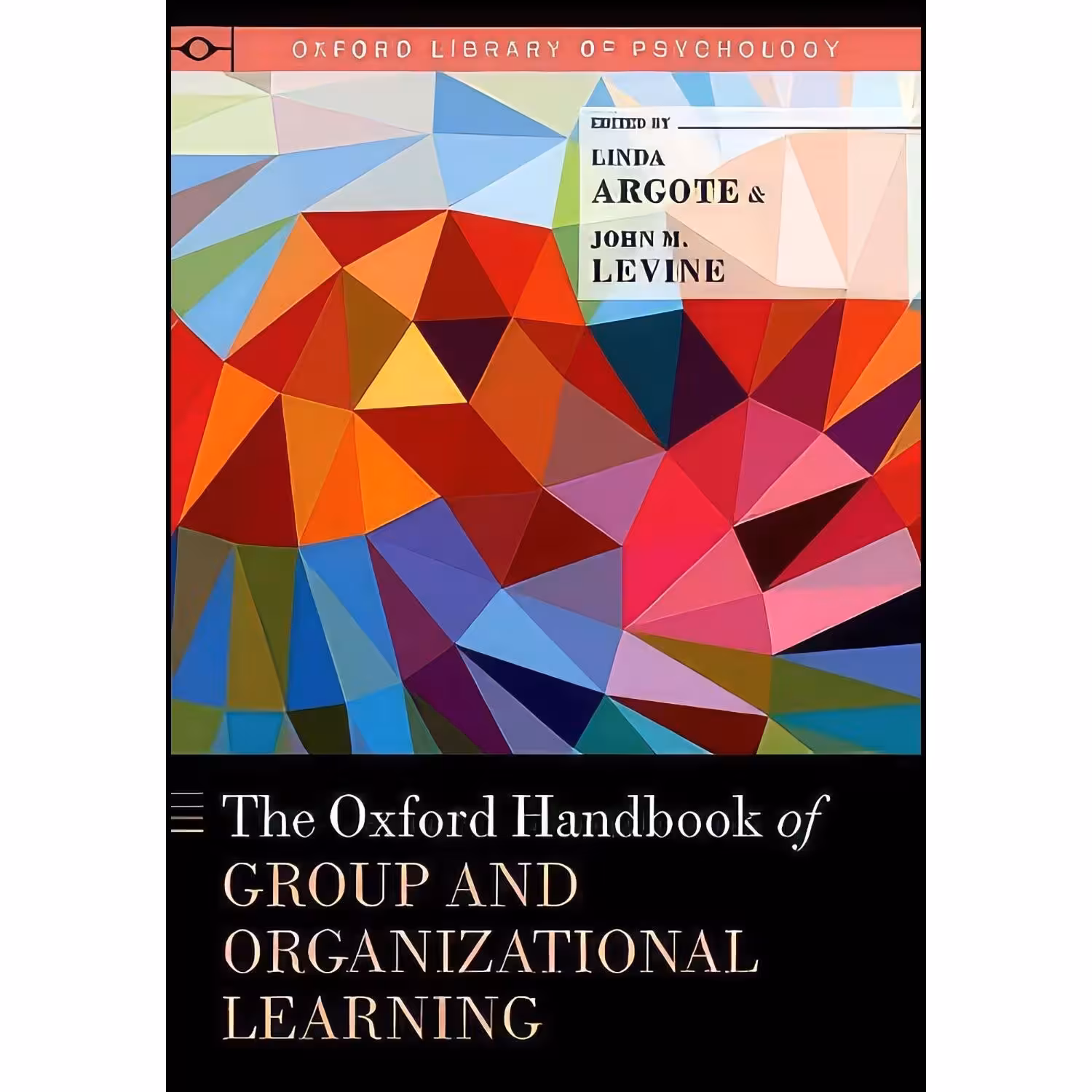 کتاب زبان اصلی The Oxford Handbook of Group and Organizational Learning 