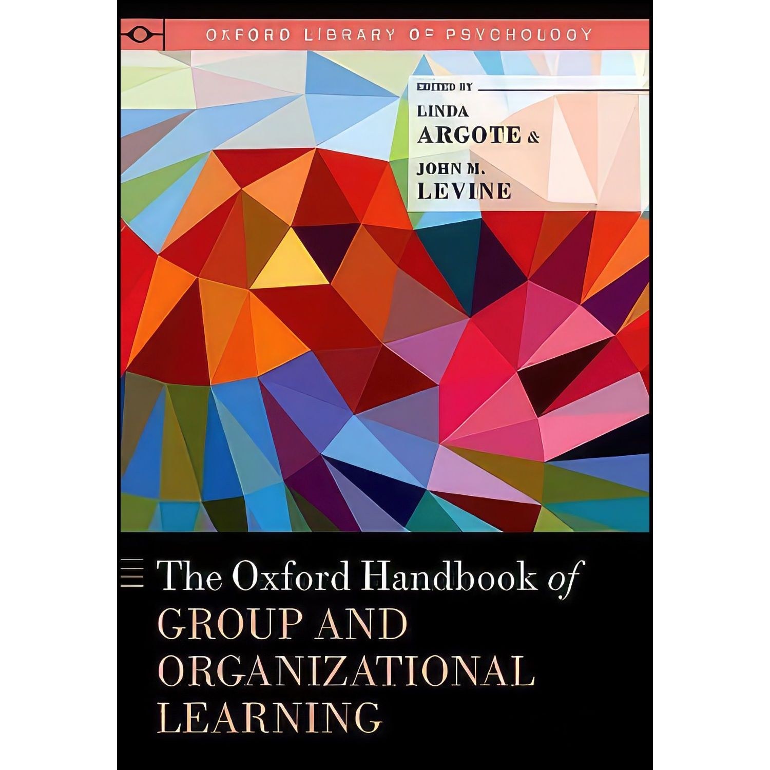 کتاب زبان اصلی The Oxford Handbook of Group and Organizational Learning 