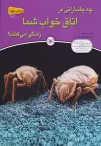 زندگی پنهان 3 (چه جاندارانی در اتاق خواب شما زندگی می کنند؟)
