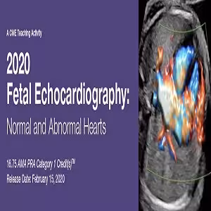 2020 Fetal Echocardiography Normal and Abnormal Hearts at 45€ - کتاب پزشکی بهار