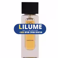 عطر ادکلن دیوان 50 میل مردانه