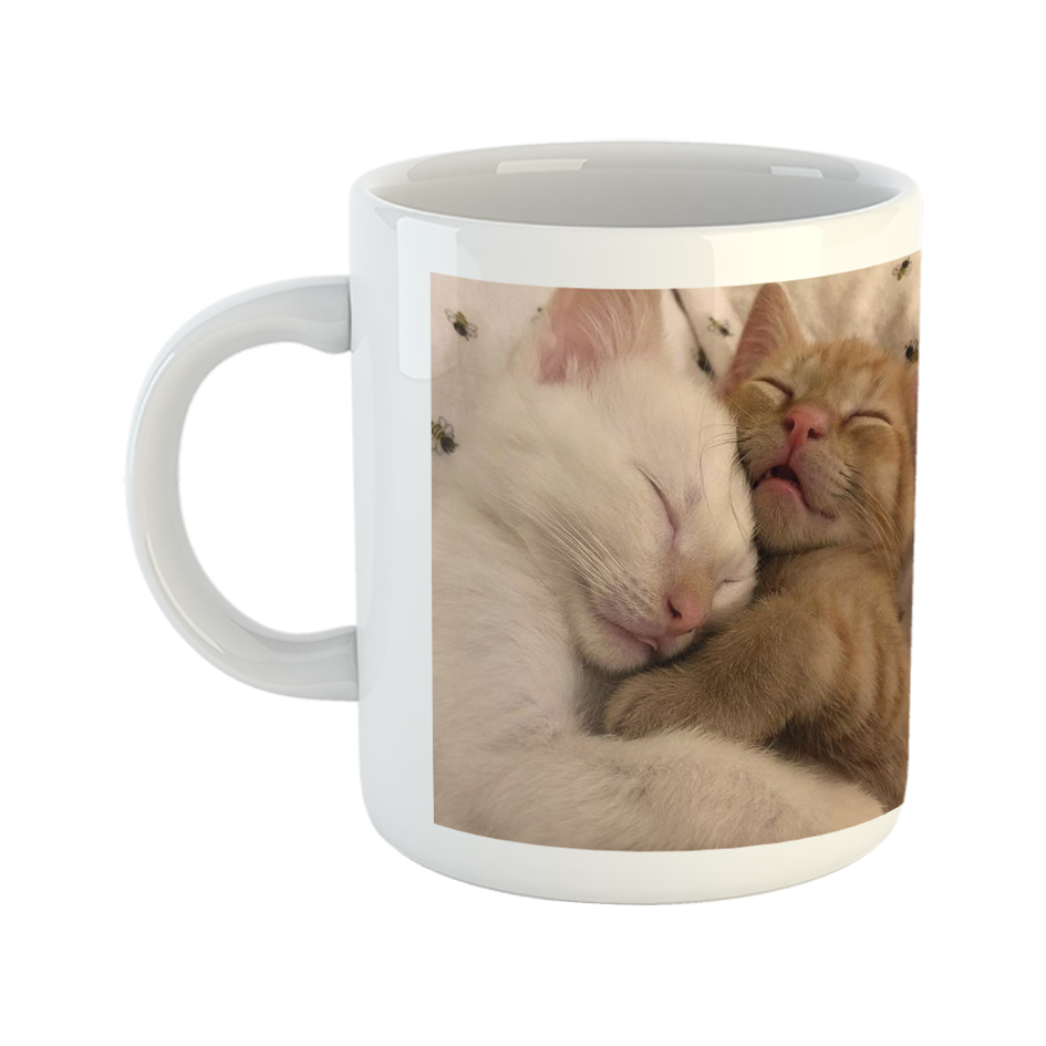 ماگ طرح حیوانات مدل گربه خواب