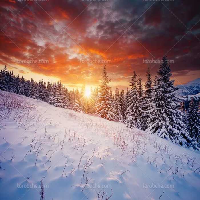 عکس منظره برفی با کیفیت | گرافیک با طعم تربچه