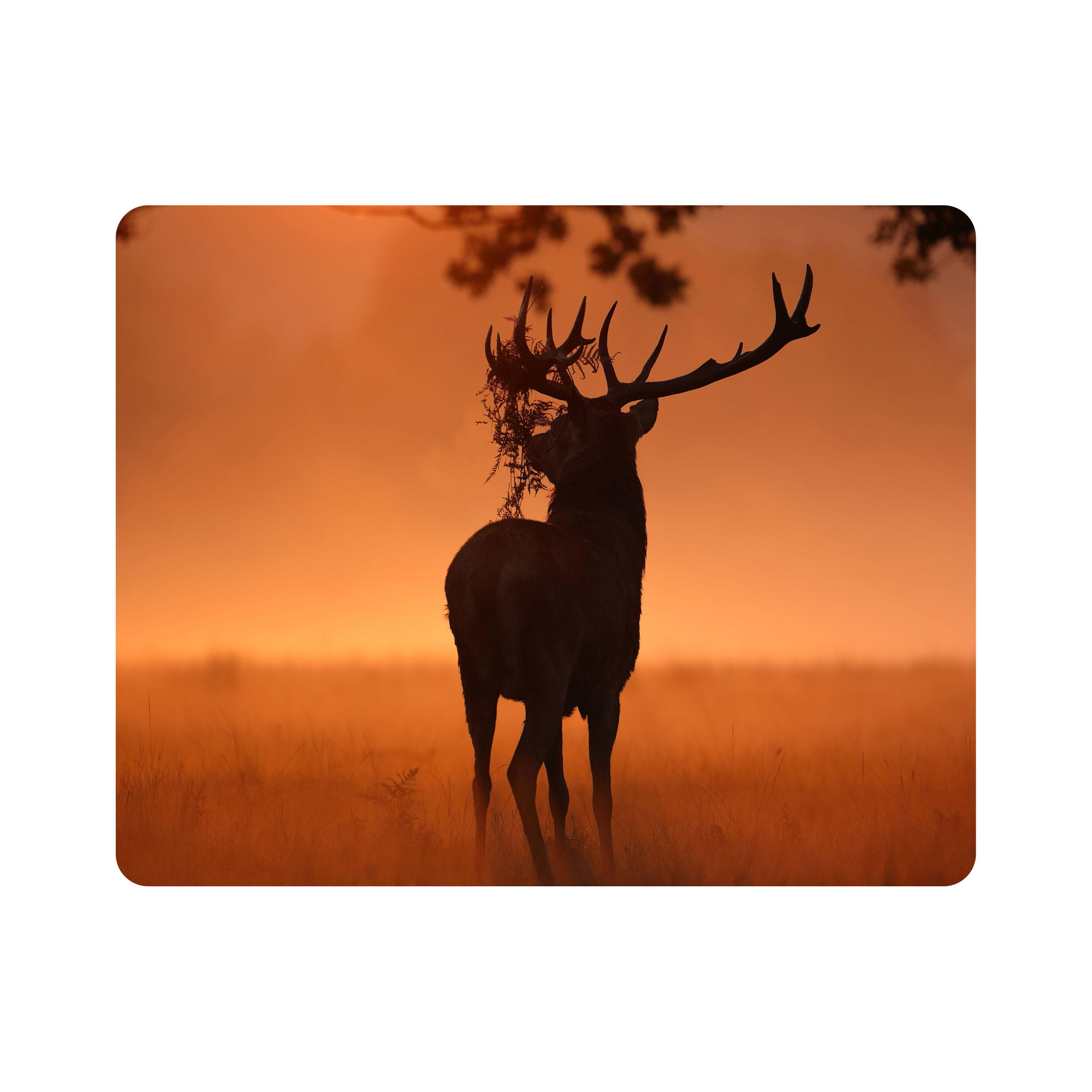 ماوس پد اطلس آبی طرح گوزن مدل T1545