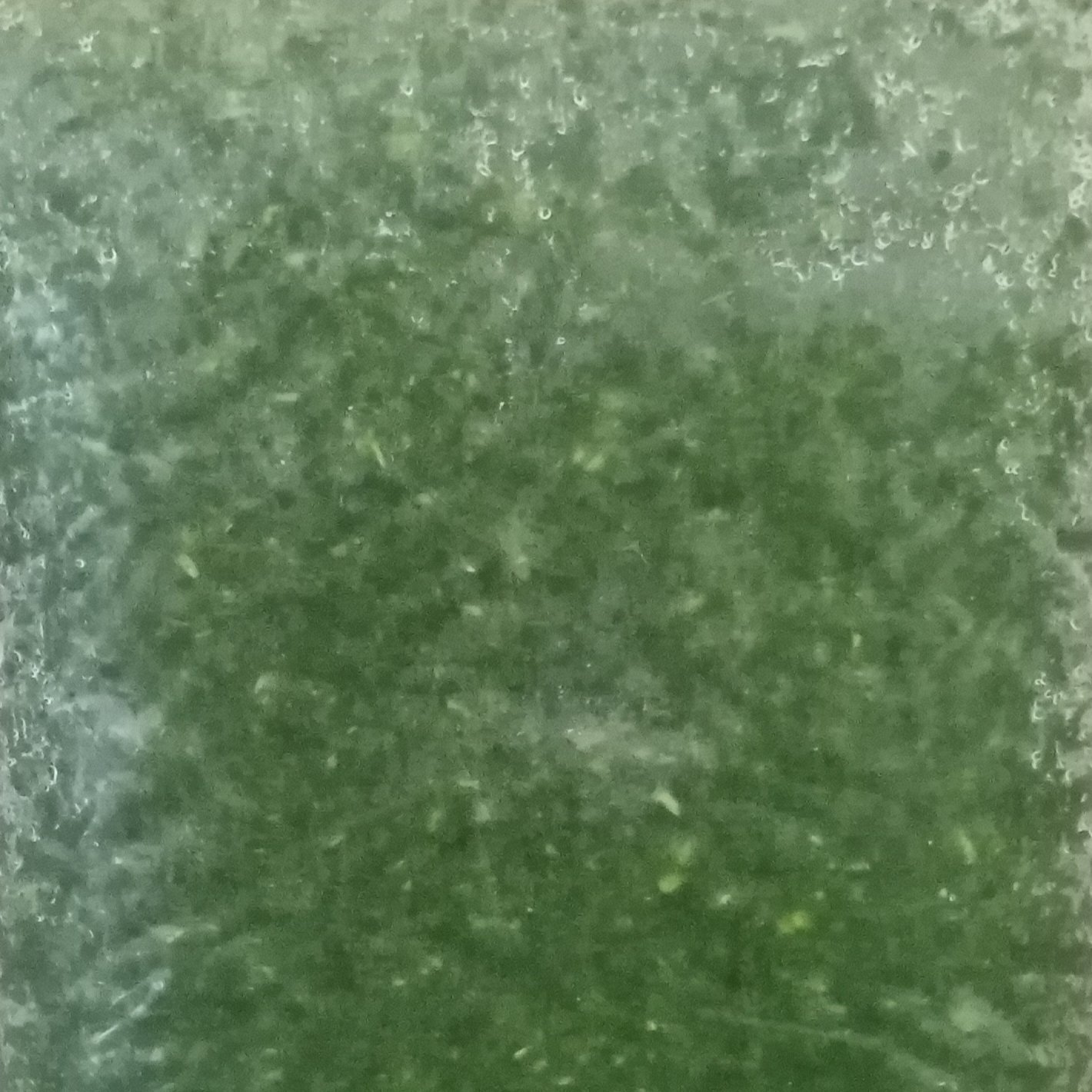 سبزی کوکو