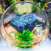 تنگ بلور شیشه ای قطر 24 سانت دهانه کج بدون ماهی 