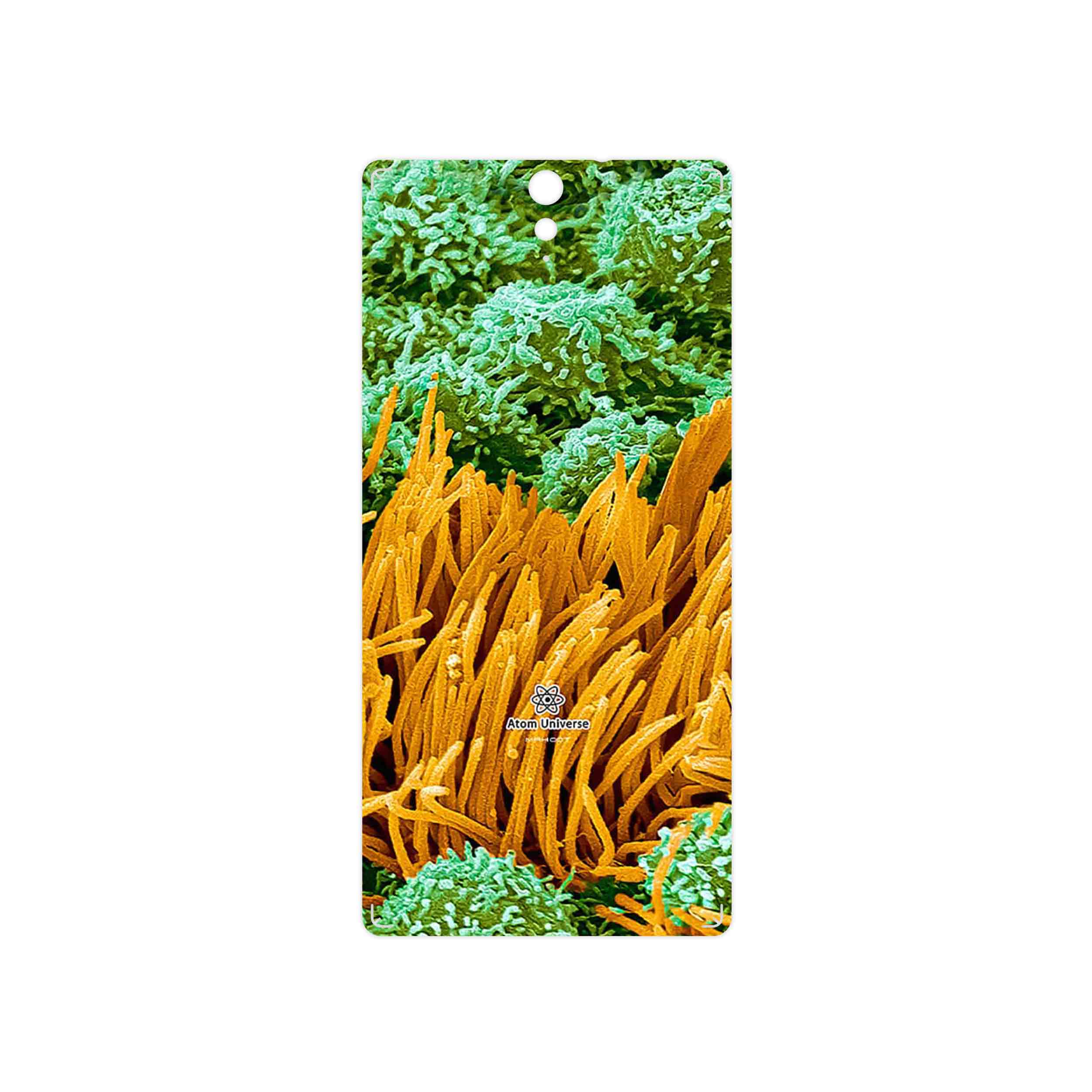 برچسب پوششی ماهوت مدل Atom Universe 6 مناسب برای گوشی موبایل سونی Xperia C5